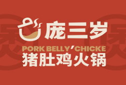 庞三岁猪肚鸡的图标